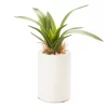 Mini Faux Greenery In White Ceramic Pot