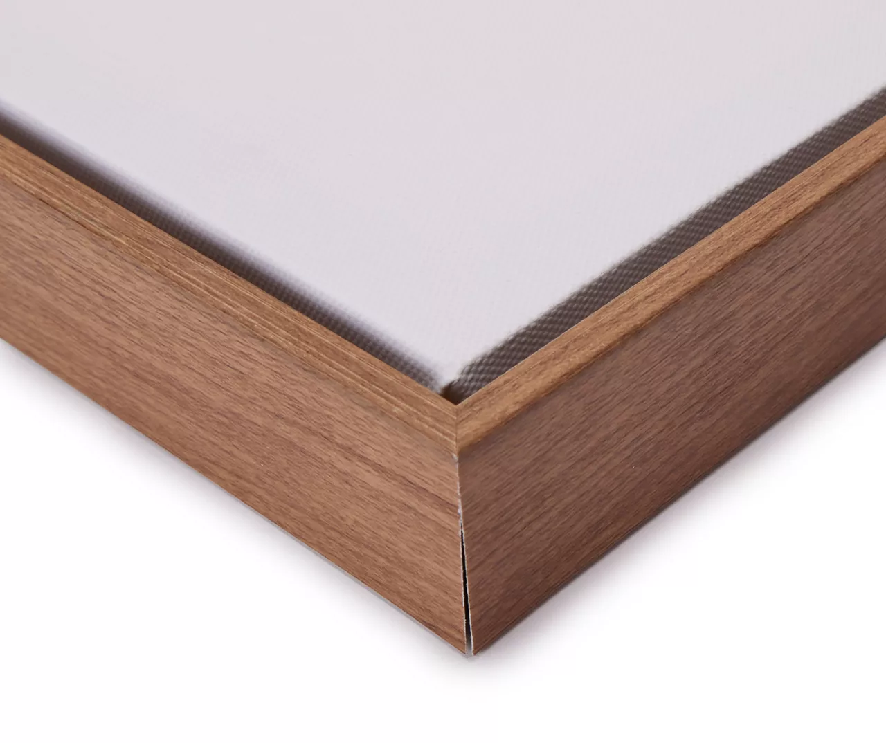 Blue & Brown Fish 1 Framed Canvas 2 Blue & Brown Fish 1 Framed Canvas - Image 2