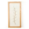 New Beginnings White Capiz Botanical Framed Wall Art