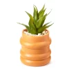 Wild Sedona Artificial Succulent In Orange Ribbed Cement Pot