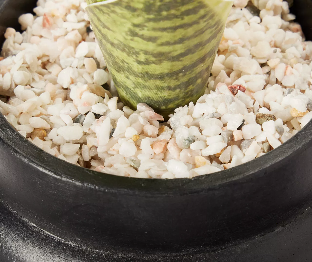 Wild Sedona Artificial Succulent In Black Ribbed Cement Pot 2 Wild Sedona Artificial Succulent In Black Ribbed Cement Pot - Image 2