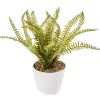 Artificial Fern In White Round Ceramic Pot
