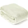 Sage Twin/Full Plush Velvet Blanket
